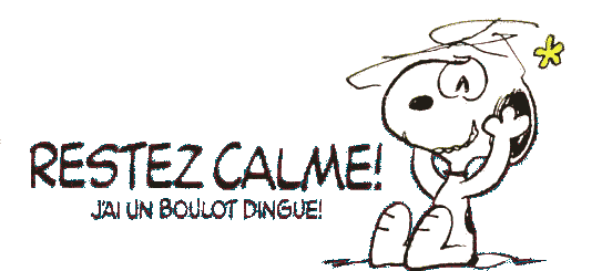 Restez calme, j'ai un boulot dingue